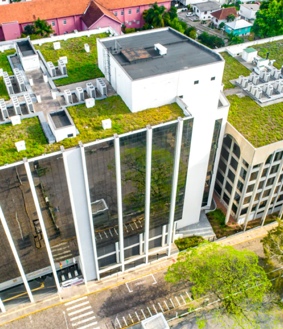 Green Roofs